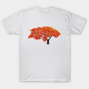 Abstract Flamboyant tree T-Shirt